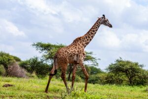 Top 10 Hidden Gems to Visit in Kenya