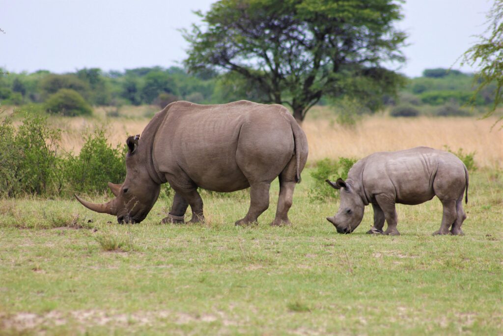 Hidden gems in Kenya