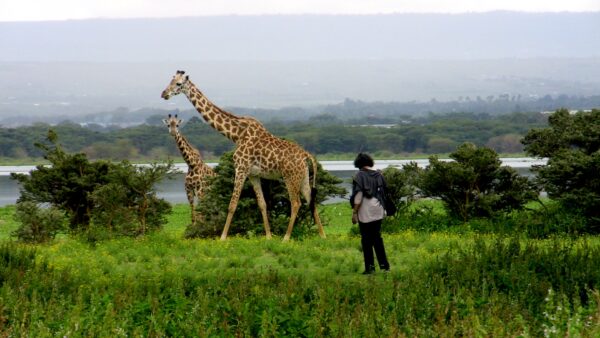 Crescent Island Naivasha Day Tour for Residents (Pickup-NBI)