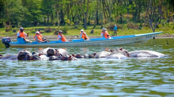 Hells Gate & Lake Naivasha Tour for Non-Residents (Pickup-NBI)