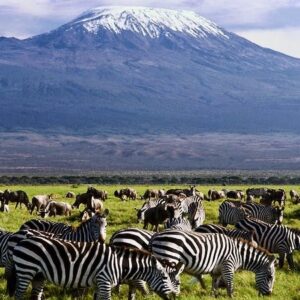 AMBOSELI SAFARI ITINERARY