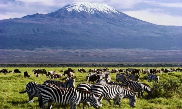 AMBOSELI SAFARI ITINERARY