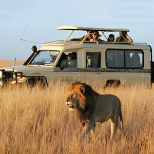 Maasai Mara package