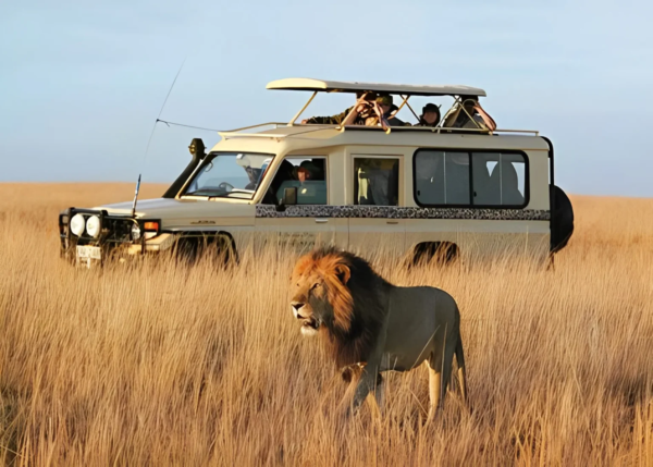 Maasai Mara package