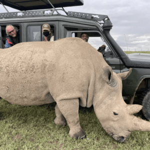 Nanyuki & Ol Pejeta Wildlife Experience