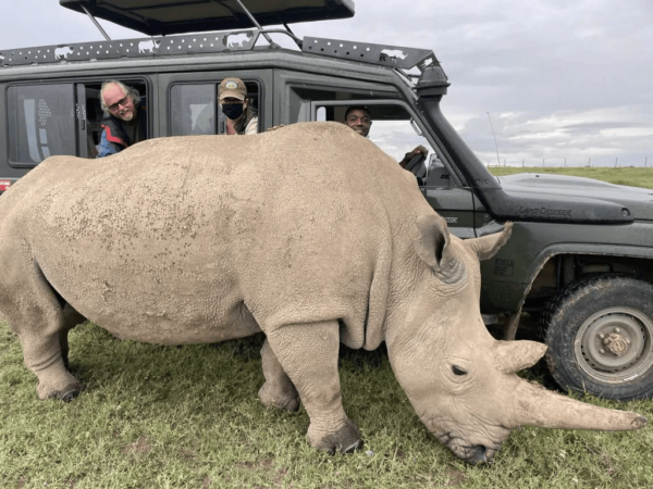 Nanyuki & Ol Pejeta Wildlife Experience