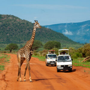 Tsavo East & Tsavo West Adventure