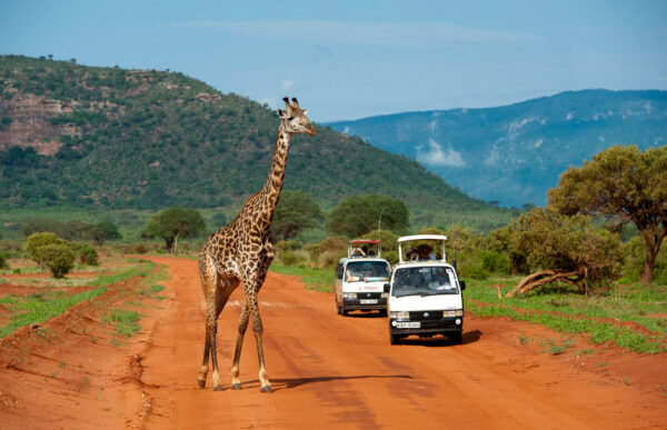 Tsavo East & Tsavo West Adventure