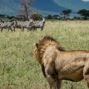 Kenyan Wilderness Expedition